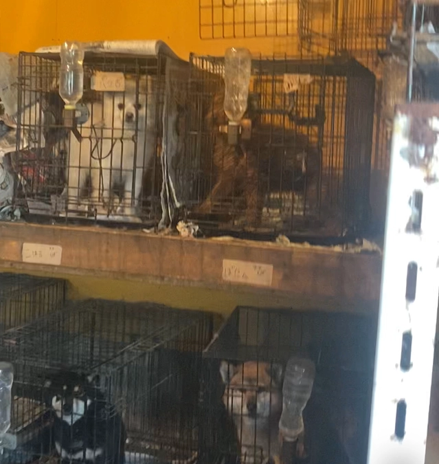 家族のお里が崩壊しました。