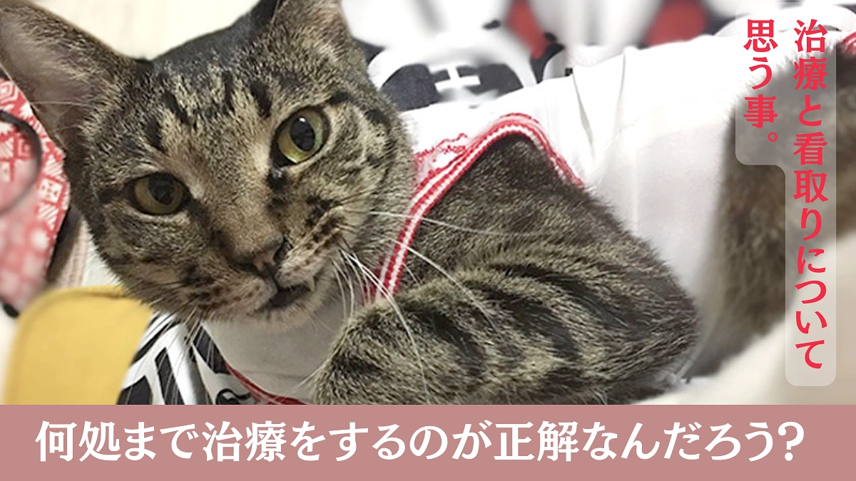 穏やかに過ごせる時間を出来るだけ長く作ってあげたい・・・治療と看取りについて思う事。