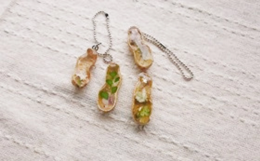 サンクスメールと落花生キーホルダー、新豆250g