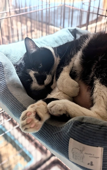 頑張ってケアします