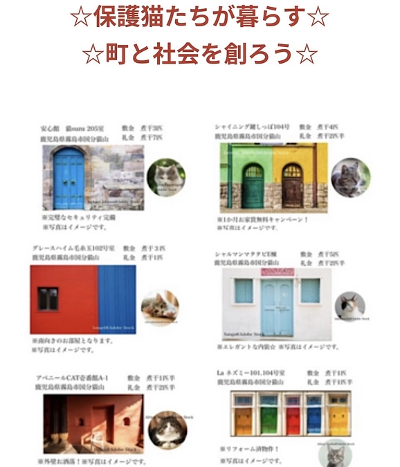 沢山の応援コメント！ありがとうございます。