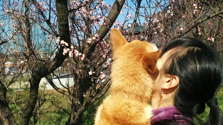 ゼロから立ち上げたい！重症度の高いワンちゃんを介護する施設を