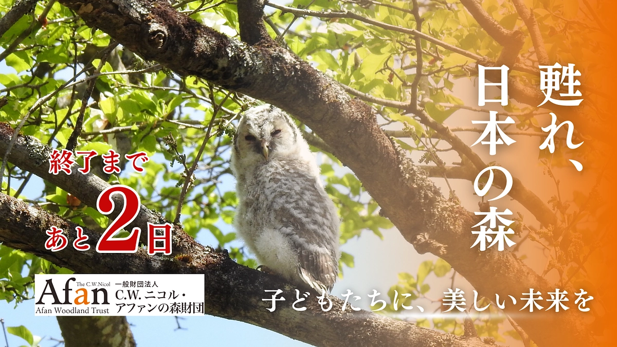 残り【2日】皆様からのあたたかい応援コメントの一部を紹介させてください②