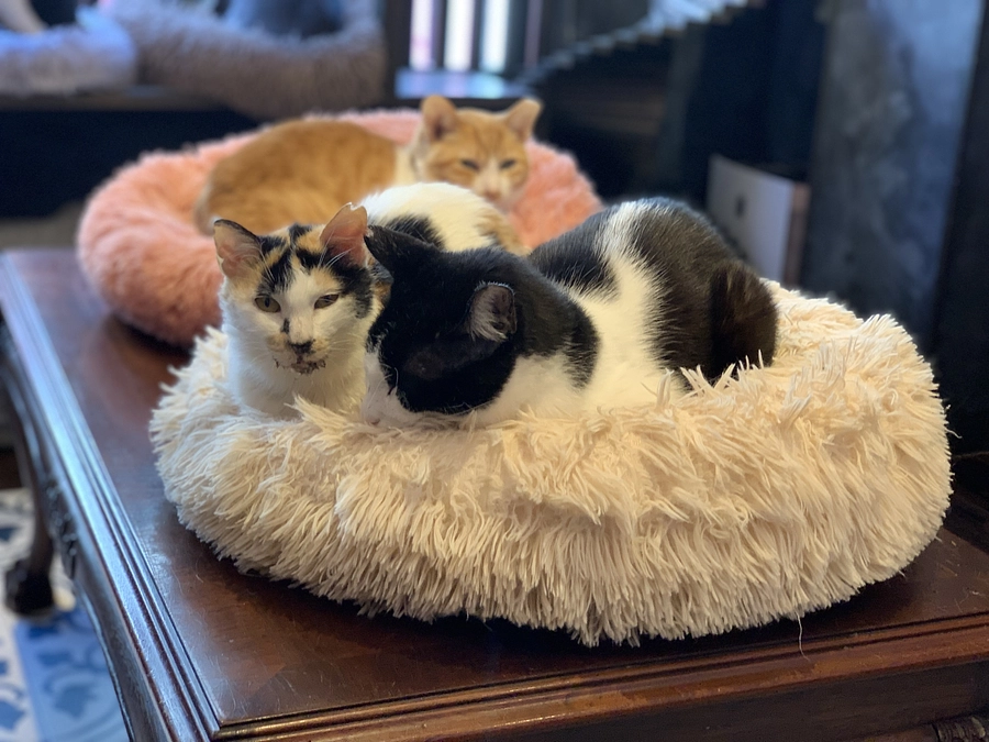 第二目標に向けて