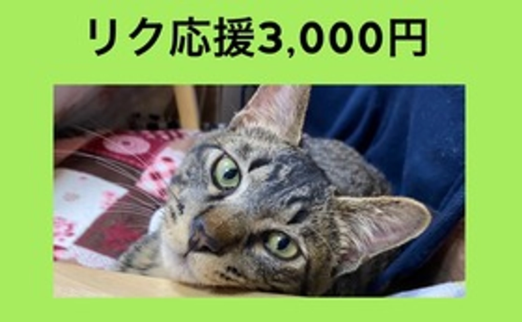 リク応援3,000円