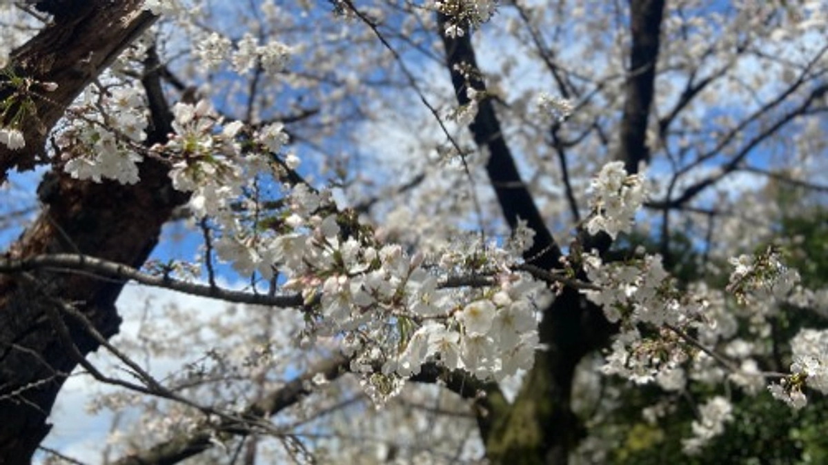 「賛助会員の集い」へのお誘い