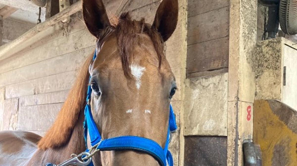 7月12日目標達成いたしました