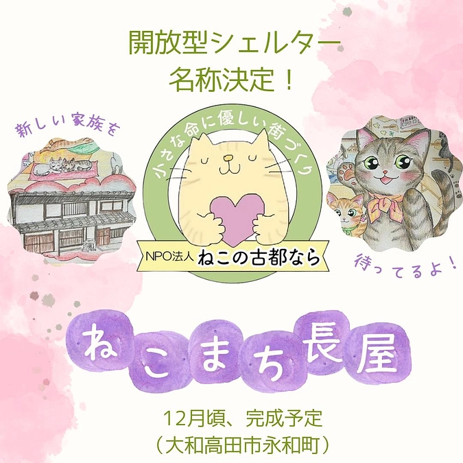 シェルターの名前が決まりました❣️