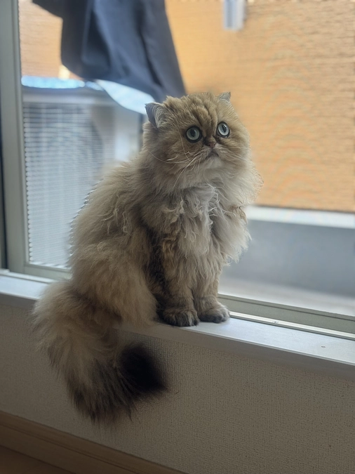 更新が遅くなってしまいました。