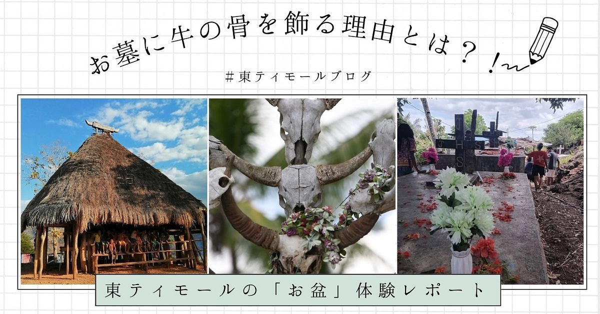 【シェア東ティモール通信８】お墓に牛の骨を飾る理由とは？！　東ティモールの「お盆」体験レポート