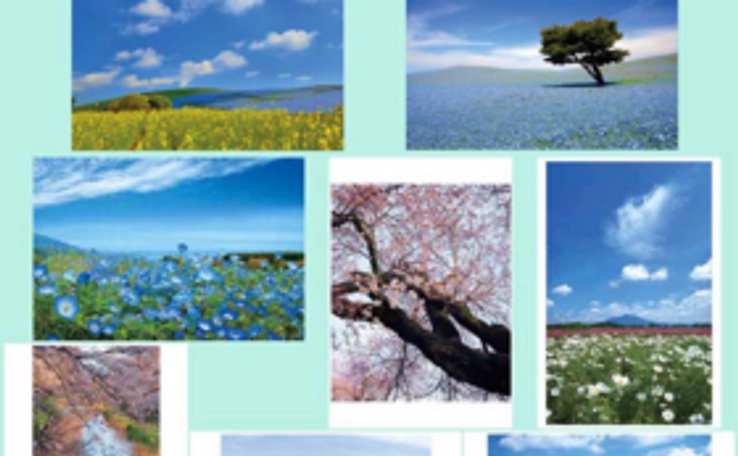 お名前を掲載します!