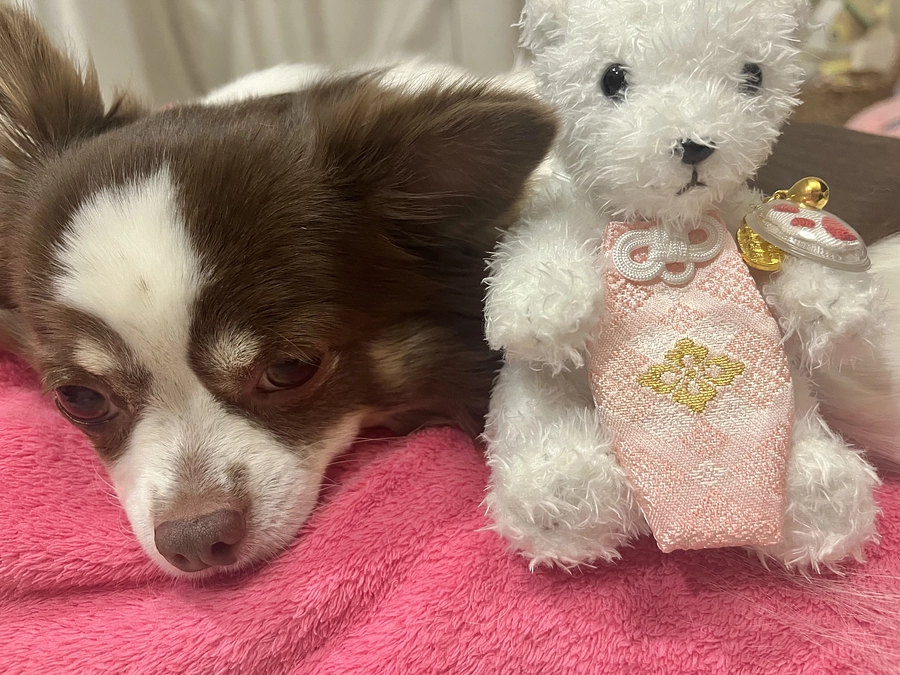 2023.12.04  手術前日となりました。