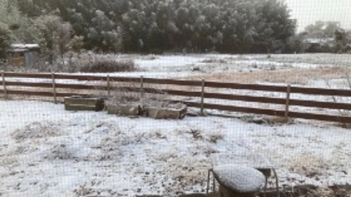 あけましておめでとうございます。