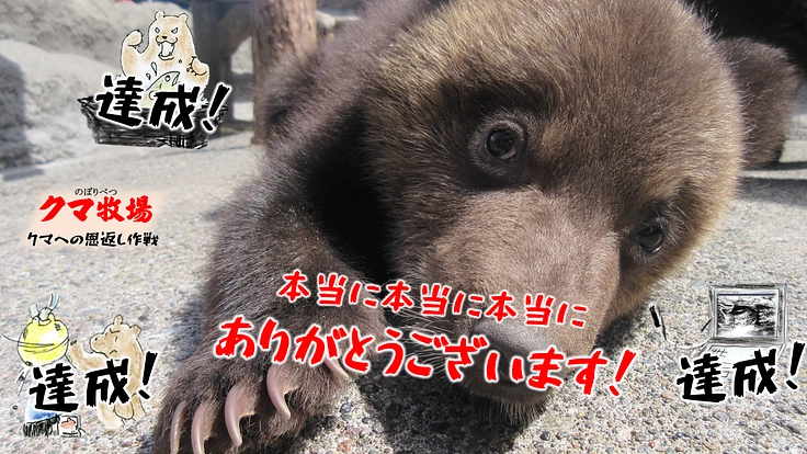のぼりべつクマ牧場｜クマへの恩返し作戦！動物福祉の向上へ。