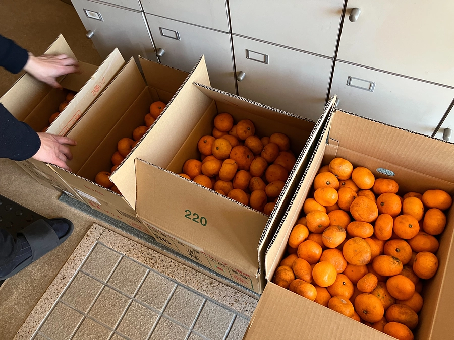 みかんをお届けしました！子どもたちの笑顔が忘れらません。