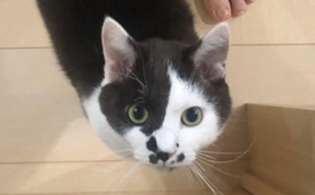 頑張れ！がんも【500円リターン不要】