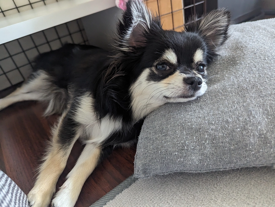 生後9ヶ月になりました😊✨