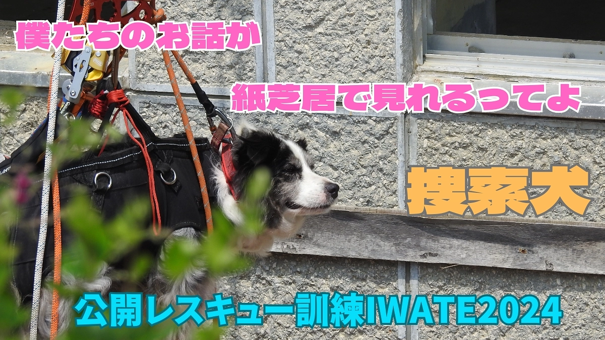 子どものためのイベントも開催