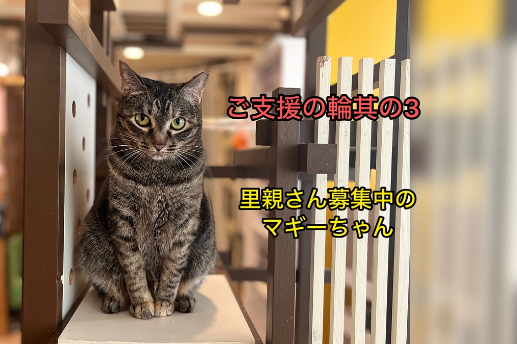 2025年4〜9月　ご支援の輪編　〈其の3〉