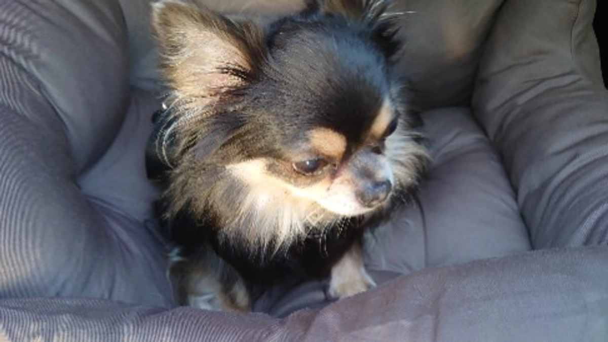 お薬をもらいにかかりつけ医へ