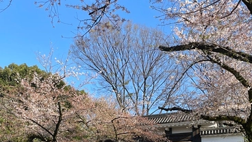 大学をなんとか卒業したい。最後の1年のために学費をご支援ください。 のトップ画像