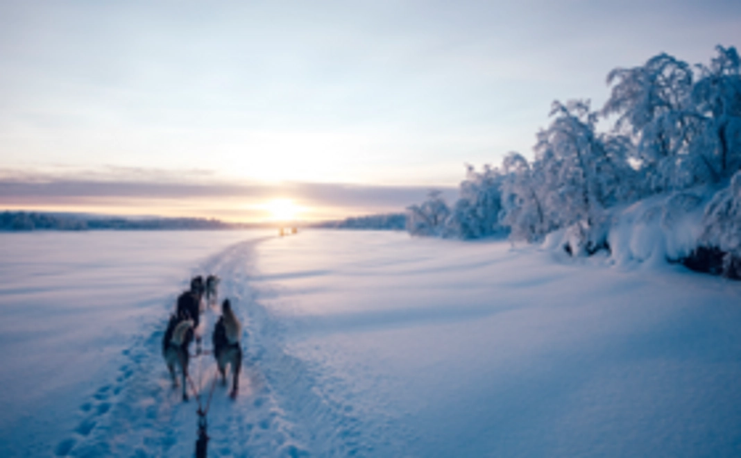 ポストカード3枚