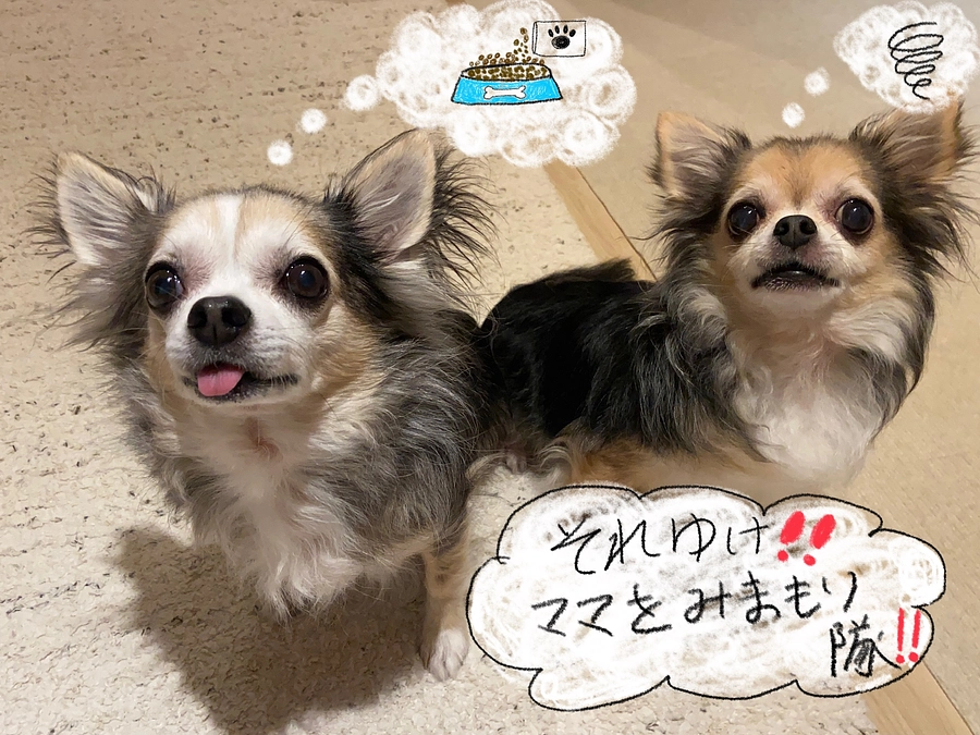 もうすぐで残り1週間💦💦