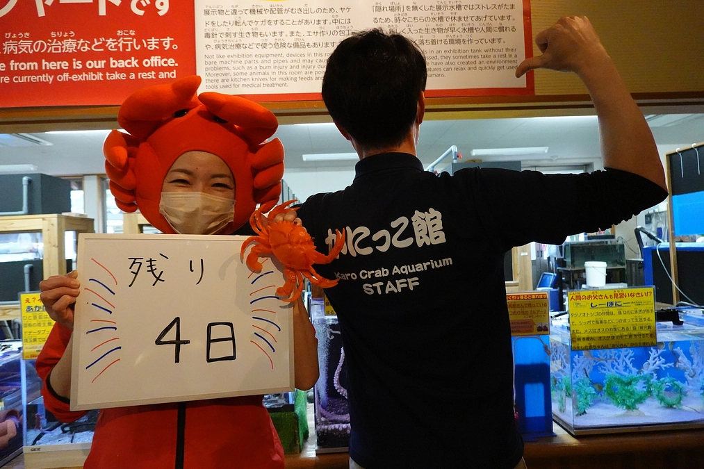 残り４日/カウントダウン