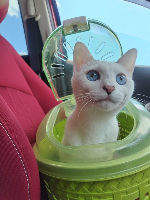 血尿ふたたび🥲