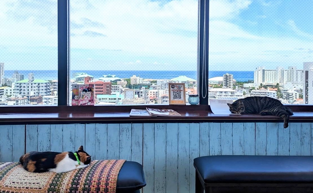 毎月応援１０００円コース