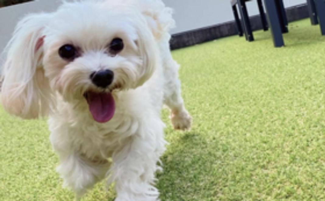 【3千円】リターンはご不要な方向け・応援コース