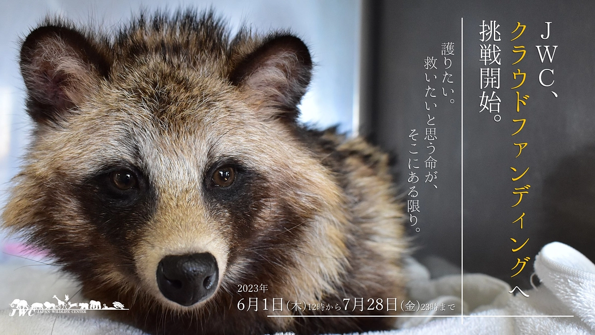 ついに、クラウドファンディング開始！！