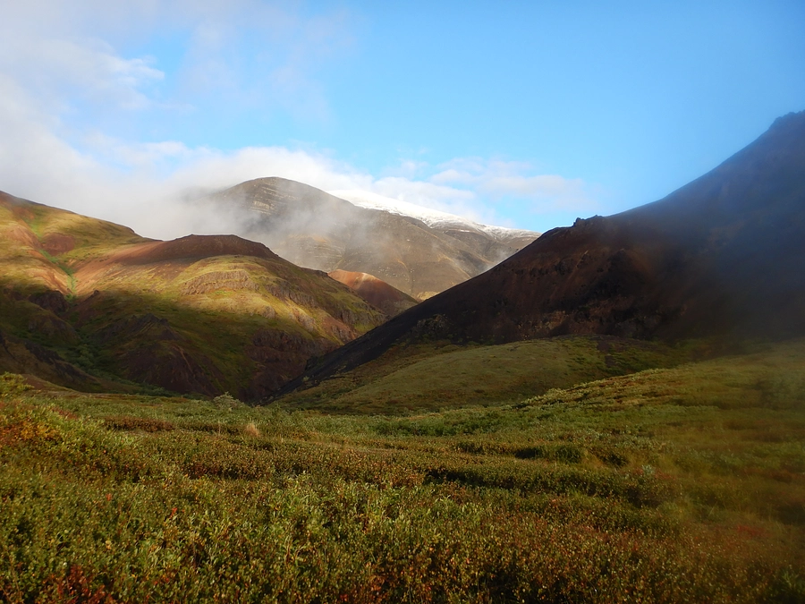 アラスカに残していったカムイサウルスの親戚の足跡