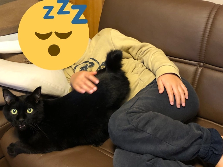 代理支援受付は6月1日18時00分までです。