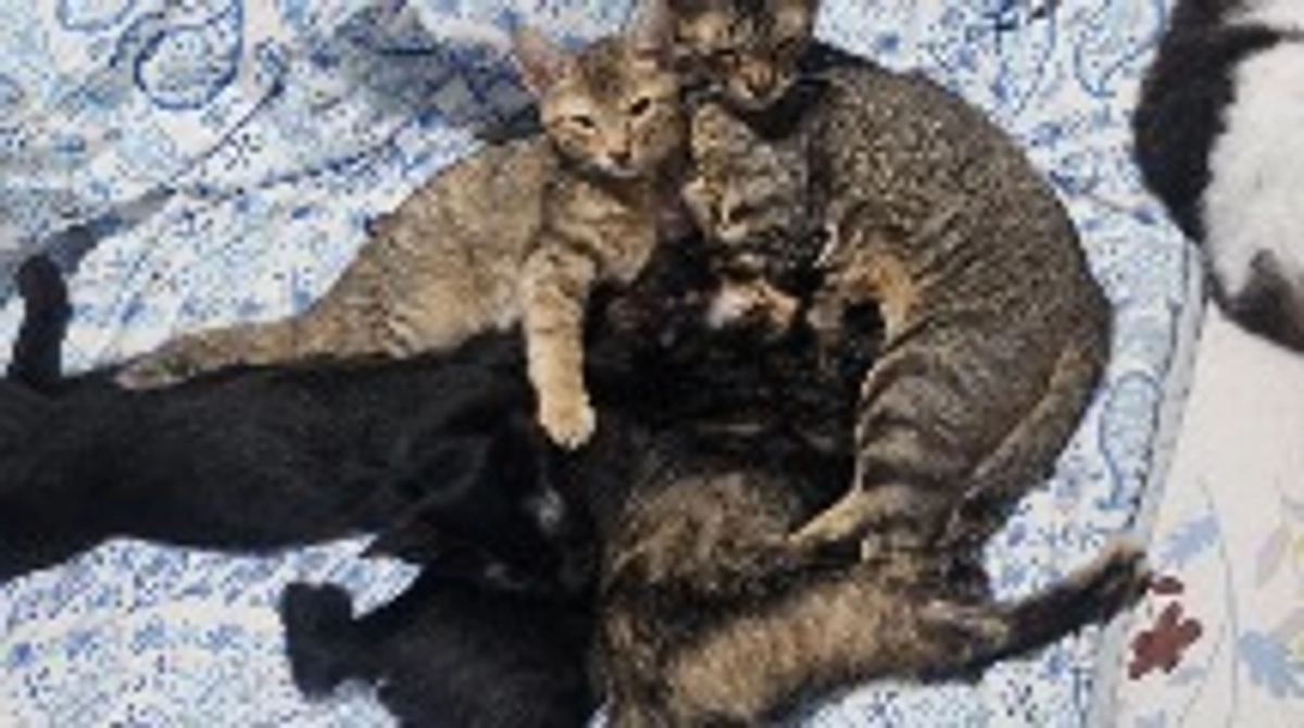 少し肌寒くなってきました。