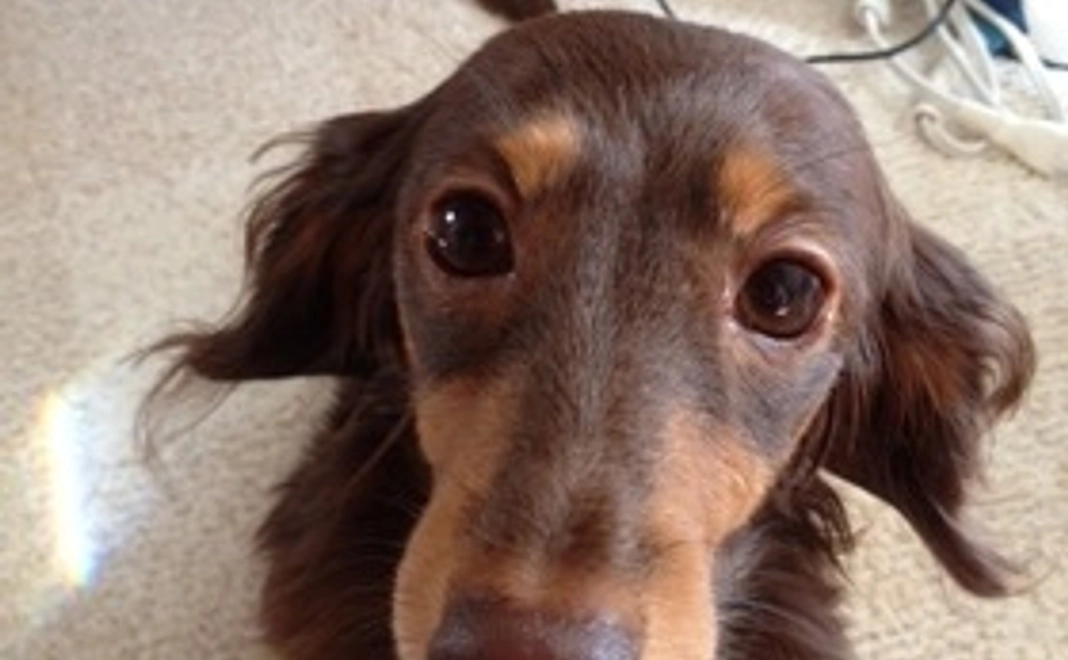 ♡感謝のメール♡