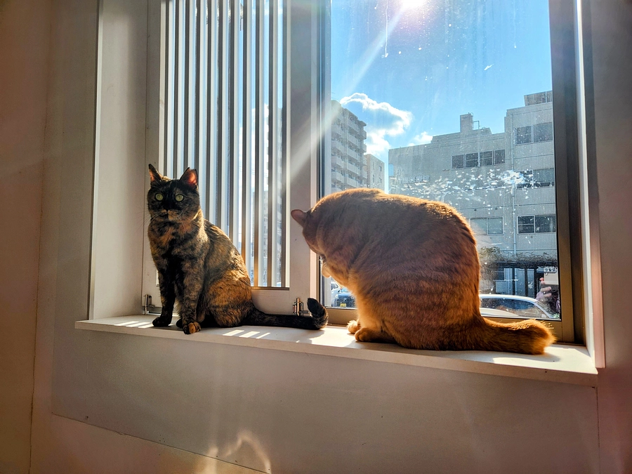 ２０２４年　新春