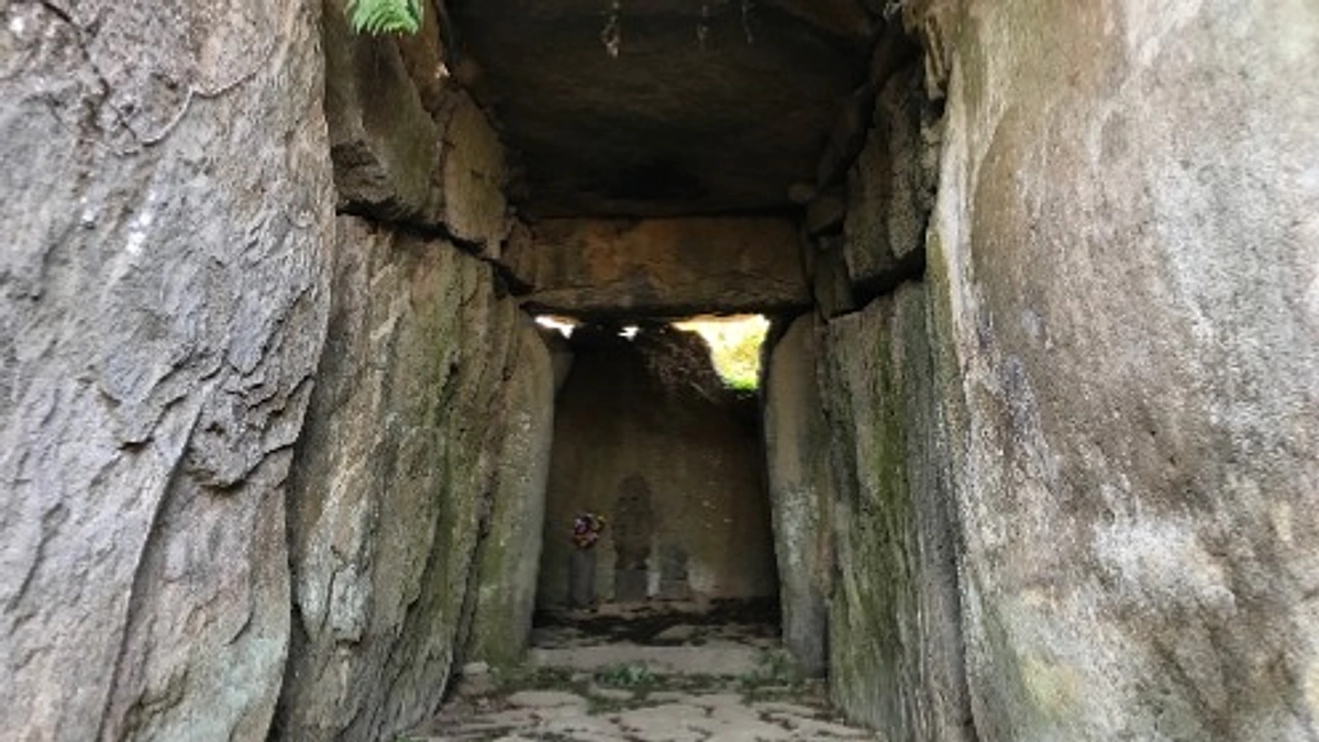 ご支援、ご声援、誠にありがとうございます