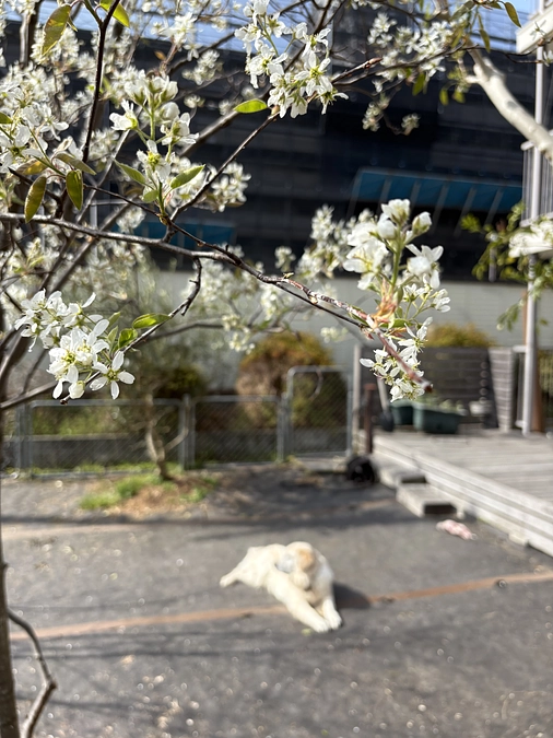 あと２日‼️あと34% 26万円