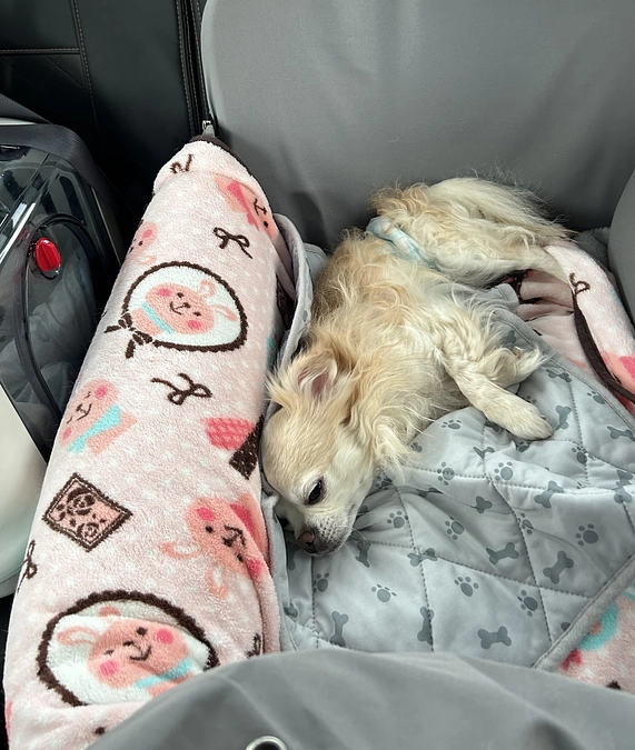 昨日は手術予定の検診日でした。。