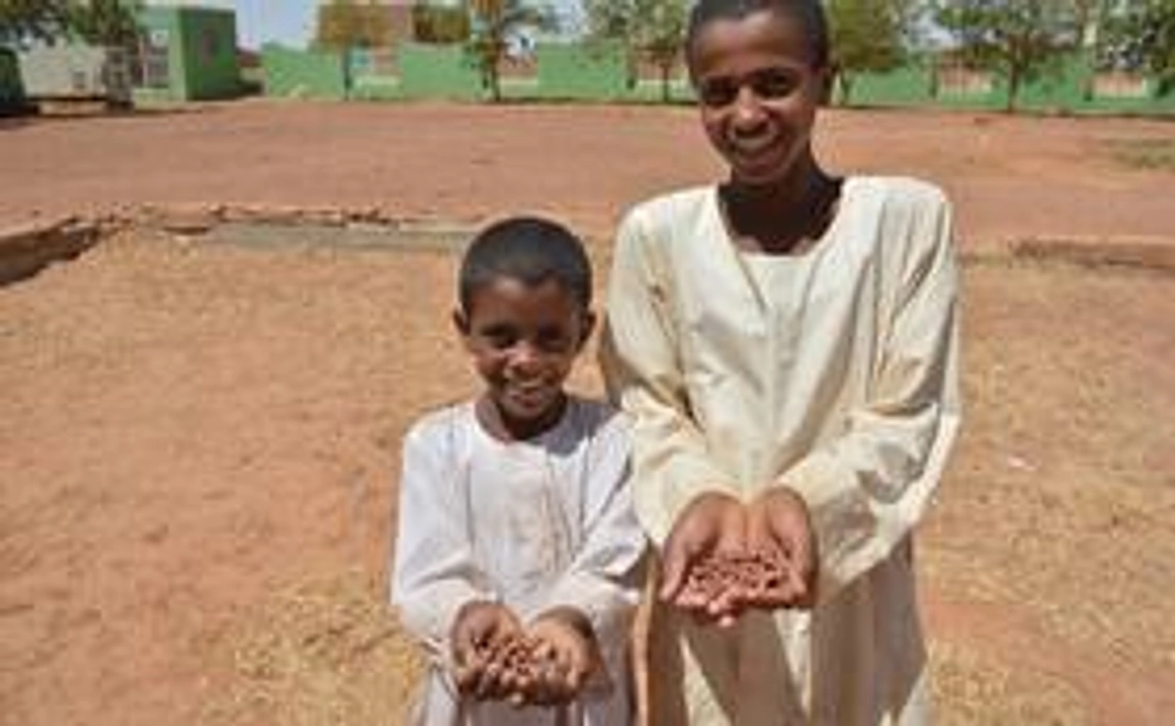 スーダンで作られた「レンガのカケラ」をお返しします