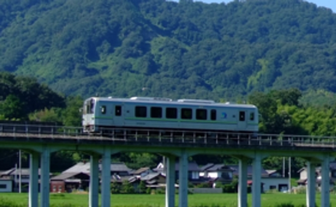 【数量限定】井原鉄道記念入場券
