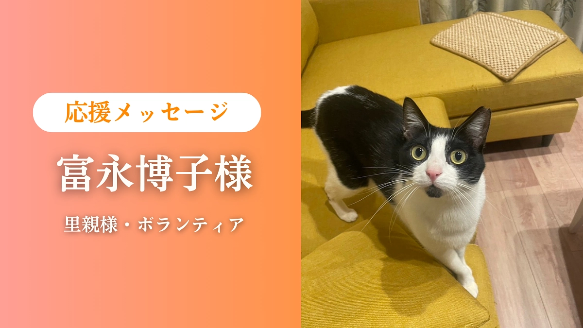 【終了まであと8日！】里親様・ボランティア 富永博子様より応援コメントをいただいております！