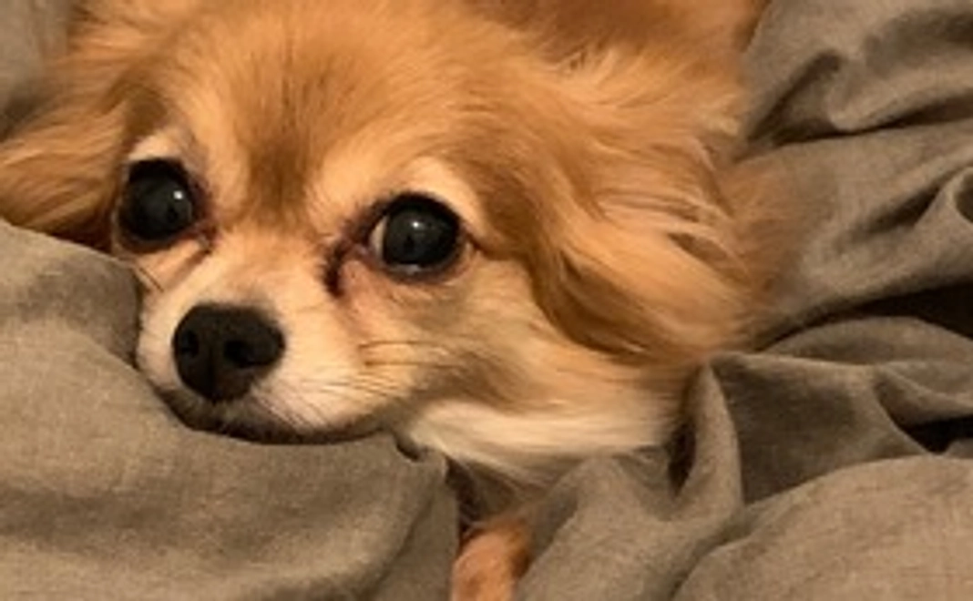 ドール応援コース!&ありがとう①