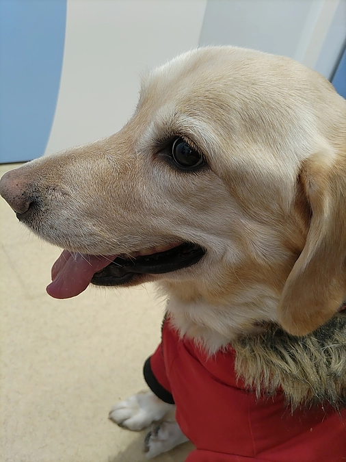 病院に来てます