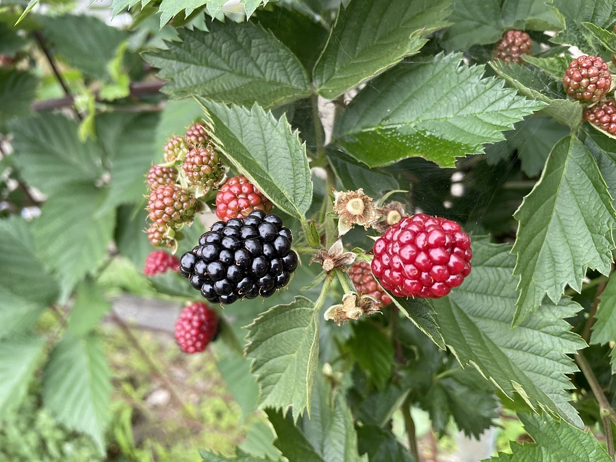 【2023年6月の活動報告】