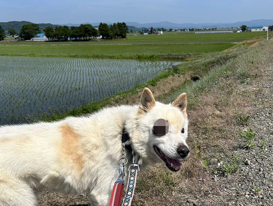 腺癌と向き合い続けて　クリープの1年3ヶ月