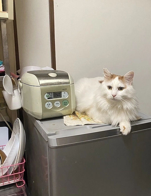 【目標達成のご報告と心からの感謝】