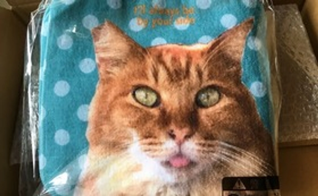 すずめからの感謝をこめて御礼のメール&ゴージャス・ゴールデンモップのミニタオルハンカチ1枚5000