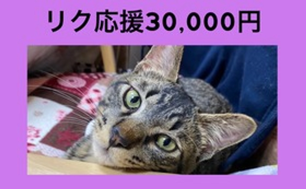 リク応援30,000円